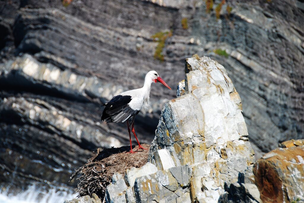 Travel to Portugal off the beaten track