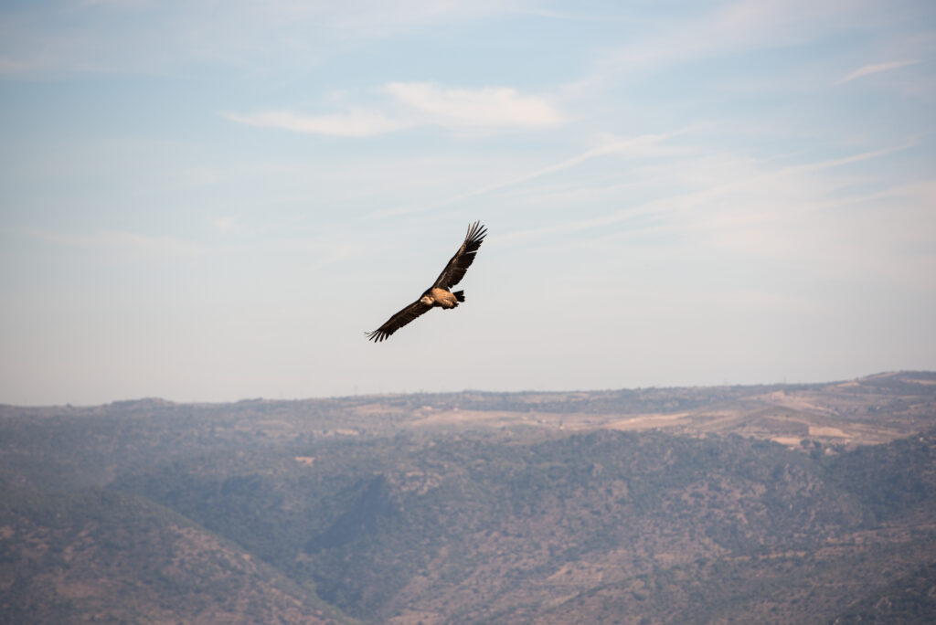 Travel to Portugal off the beaten track