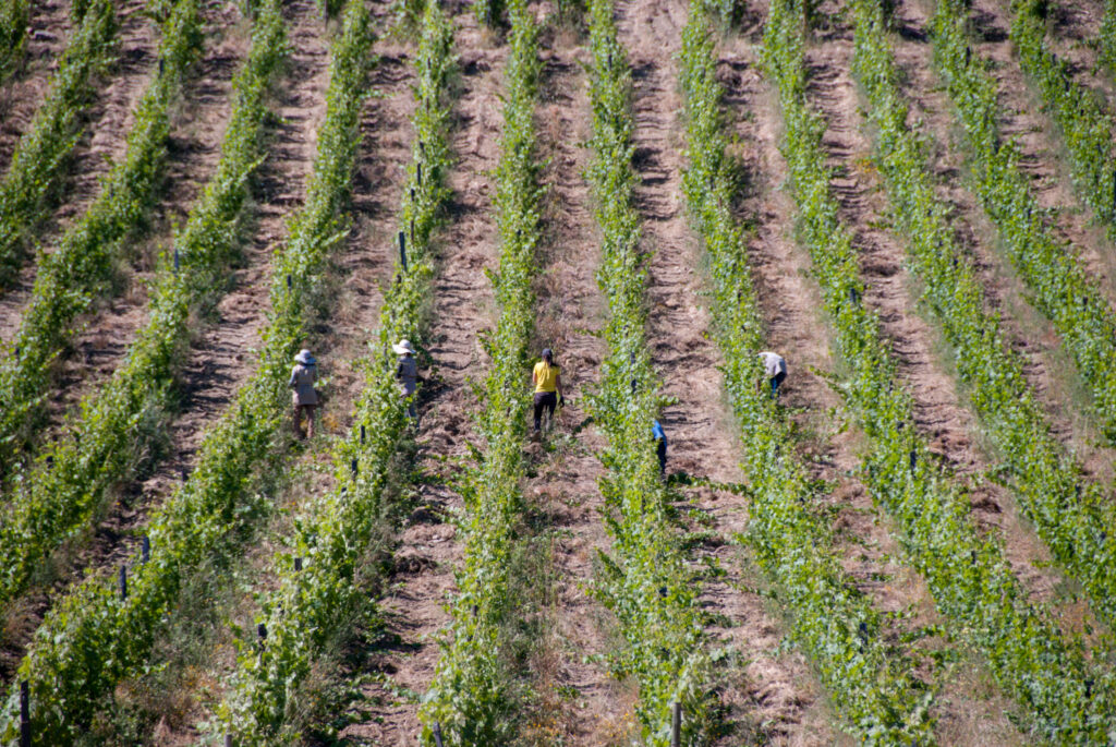 Travel to Portugal off the beaten track