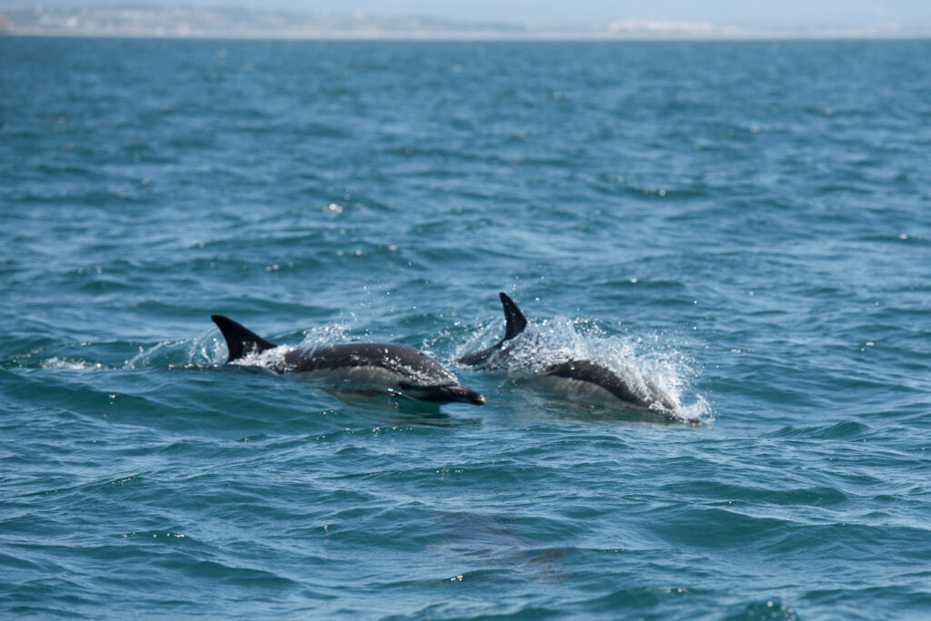 Travel to Portugal off the beaten track