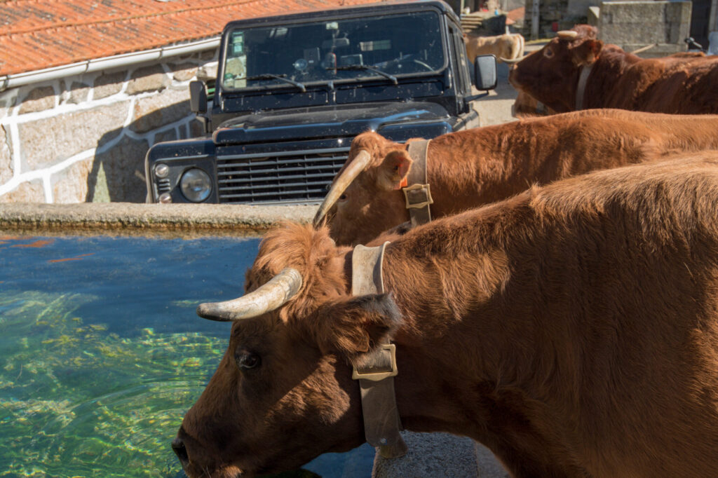 Travel to Portugal off the beaten track