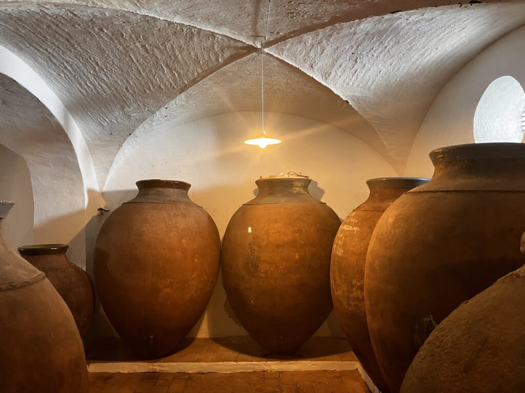 discover portugal overland