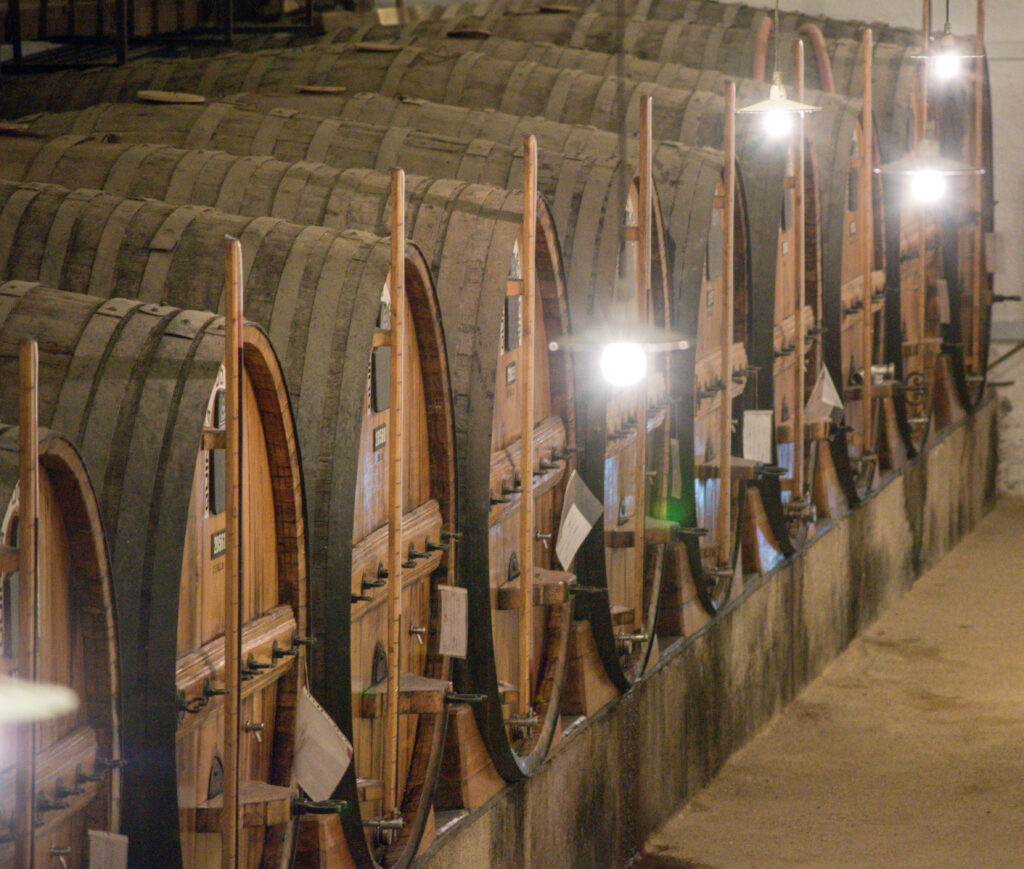 discover portugal overland