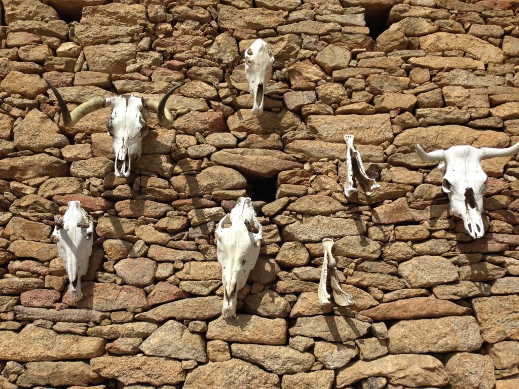 discover portugal overland